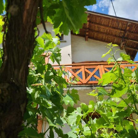 Вила 111 Sapareva Banya Εξωτερικό φωτογραφία